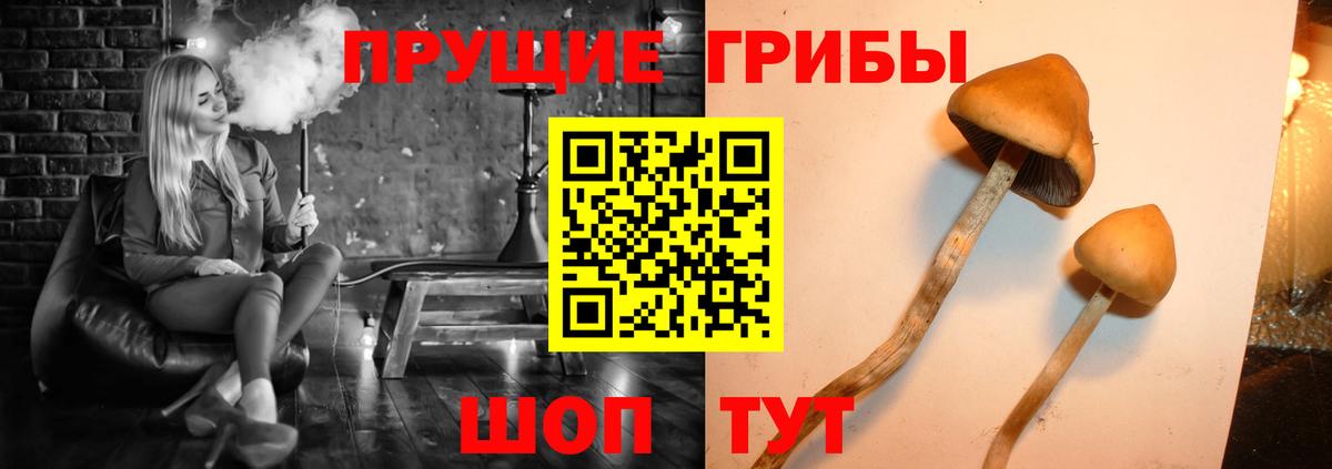 Феодосия  Псилоцибиновые грибы ЛСД  Вход с VPN  Псилоцибиновые грибы Magic Shrooms 
